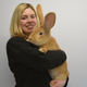 Illustration for article titled Help, Can Someone Please Adopt This Huge Fucking Bunny